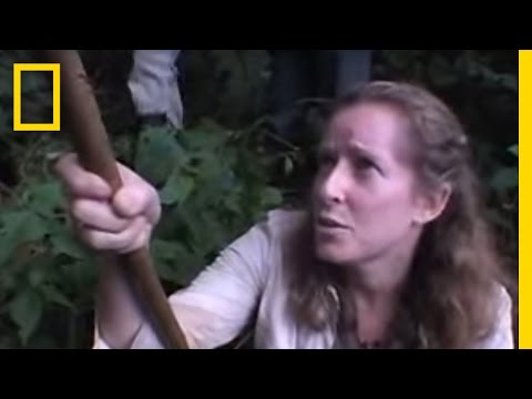 Hanging With Gorillas | National Geographic