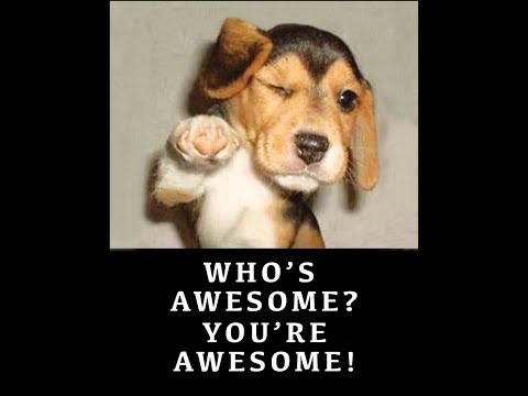 IDEA Weslaco's SEC Highlights Counseling Services, Distance Support, Family Wellness, and SEL