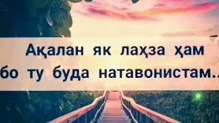 Хостам хамрохат то абад якчо бошам...