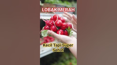 Lobak Merah : Kecil Tapi Super Sehat! #youtubeshorts #feedshorts #shorts