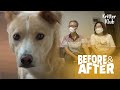 Dog Will Not Allow His Family Around Him | Before & After Makeover Ep 12