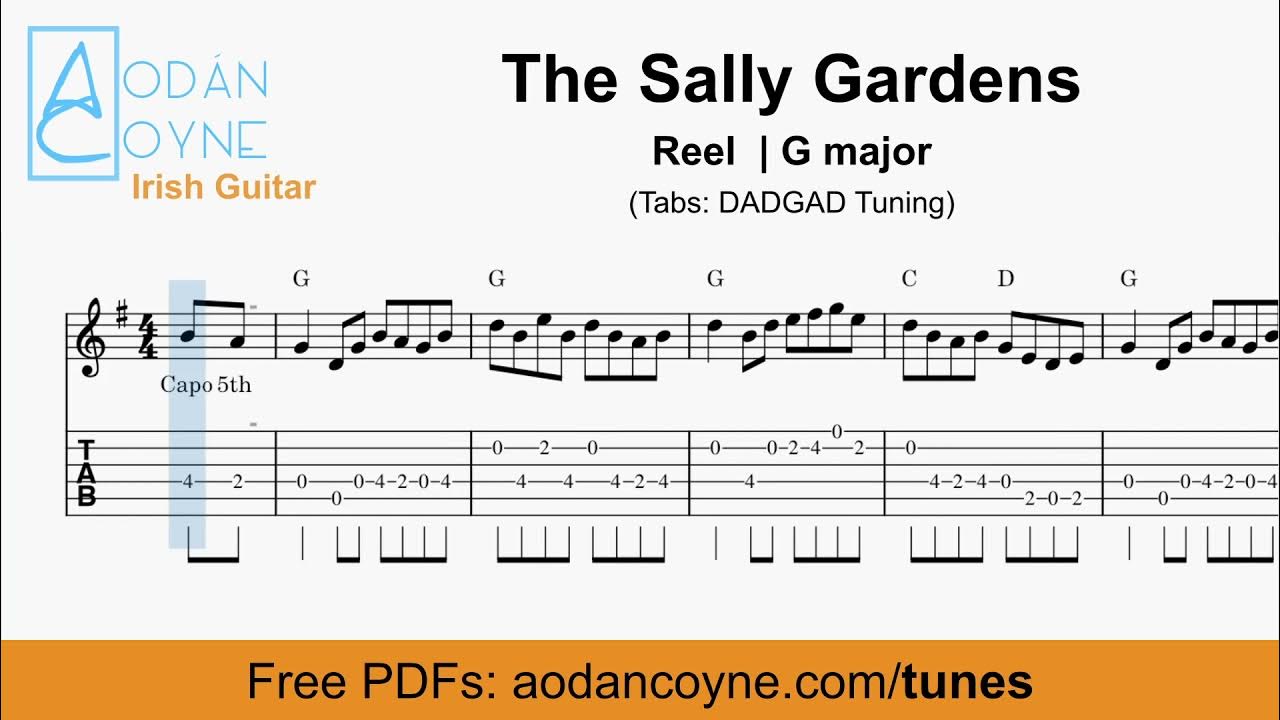 The Sally Gardens Reel - Free Chords, Notation & Tabs The Sally Gardens Reel - Free Chords, Notation & Tabs
