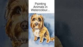 Painting a Cockapoo dog in watercolor