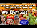 LAGI ASIK PANEN.. SUAMI BERULAH