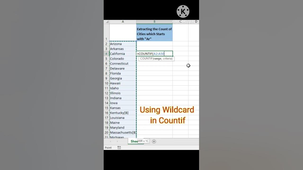 Using wildcard in excel formulas how to use countif in excel excel