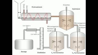 Process of Fermentation