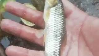 Life In Mountains Devidhar Uttarkashi Uttarakhand