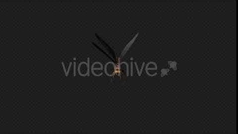 DragonFly Die Pack 4 In 1 | Motion Graphics - Envato elements