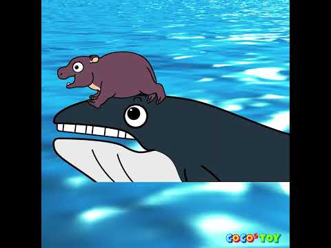 3,000 <strong>leagues</strong> in search <strong>of</strong> a baby hippopotamus #Shorts ㅣAnimals name, KidstoonㅣCoCosToy