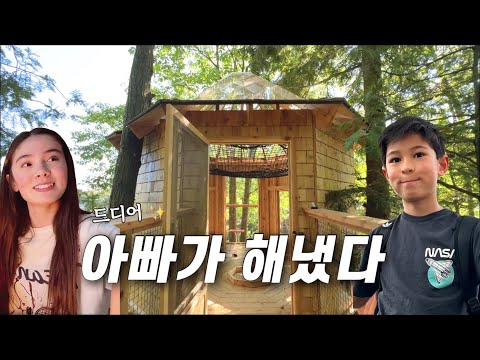 꿈의 트리하우스 2년 만에 완공✨ thumbnail