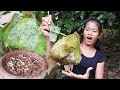 Survival in forest found red ant for food of survival cooking red ant  eating delicious in jungle