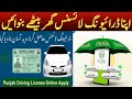Punjab Driving License Application Details 2025 |Driving License News For Public |Updated 5 Year Fee