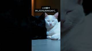 S Green|30 Sec Focus BGM|No Vocals |Stillness for Deep Work Green | HASU K #shorts #cute