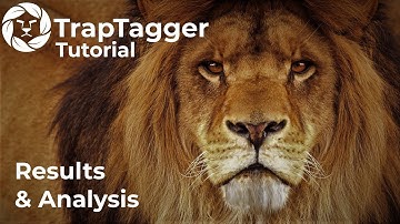 TrapTagger: Results & Analysis