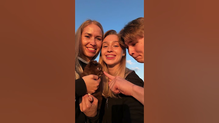 Мы завели еще одну собаку | #джулай