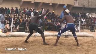 Shagon Gwagwarwa Yabuge Bahagon Safana