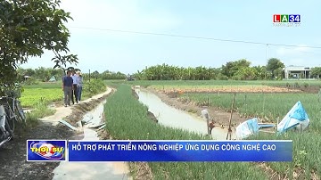 Hỗ trợ phát triển nông nghiệp ứng dụng công nghệ cao  I LONG AN TV