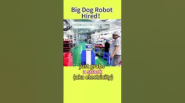 🎉Big Dog Robot Hired! No Site Mods Self-Riding Elevators Your Warehouse’s New MVP!
