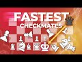 The top 10 fastest checkmates to win at chess