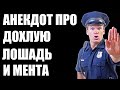 АНЕКДОТ ПРО ПРО ДОХЛУЮ ЛОШАДЬ И МЕНТА СМЕШНОЙ ДО СЛЕЗ!