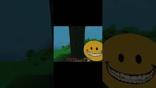 Verity #minecraft #horror #minecrafthorror #horrormods