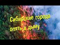 Задымление городов Сибири от пожаров в Якутии. Состояние на 08.08.21