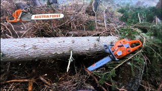 Husqvarna 562 Mark 2 ist wieder im Einsatz by Austria Forst 14,061 views 10 days ago 12 minutes, 57 seconds