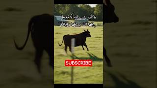 Motivasi Perjalanan Hidup doa quotes motivation sholawat islamic  ai katakatabijak 1