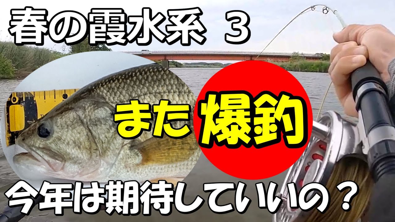 フライでバス釣り霞水系2020年6月 Bass Fly Fishing - YouTube