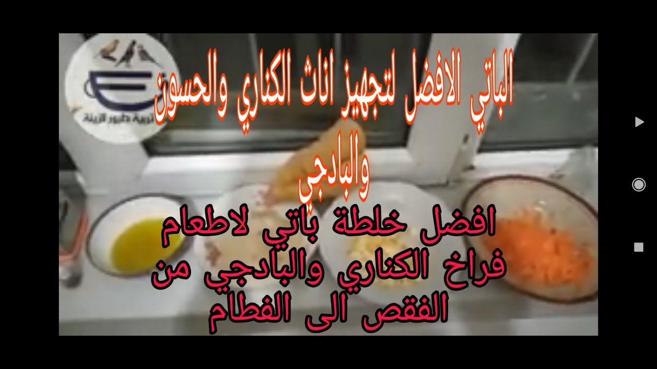 افضل واقوى خلطة باتي طبيعية لتجهيز اناث الكناري والبادجي وطيور الزينة وافضل باتي لزق الفراخ من الفقص