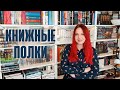 🔥📚 Тур по КНИЖНЫМ ПОЛКАМ — забираемся на самый верх || Классика, космос, объёмные книги и др.