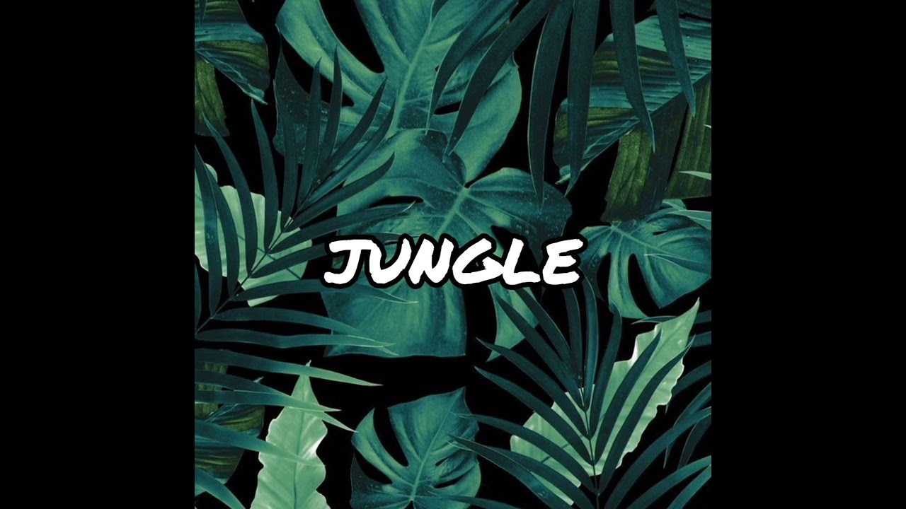 [FREE]Beat Jungle geolier x mala type beat