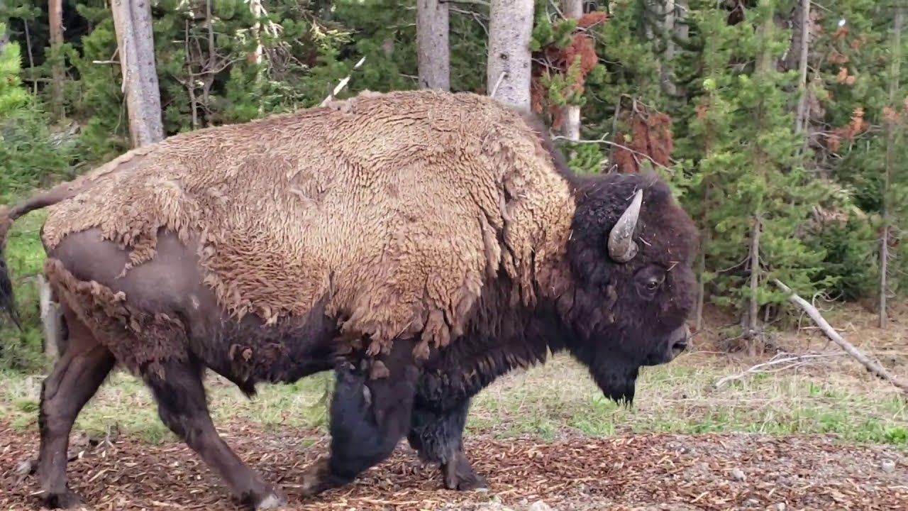 The Life of a Travel Blogger   2020 in Review