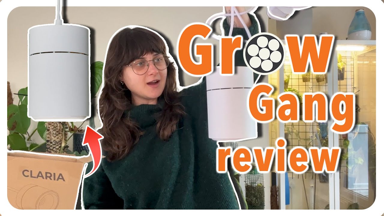 Claria Grow gang light install and review