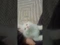 Allah Tala farmate Hain har chij ke liye mujhe yad karo