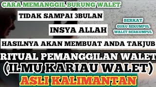 Download Lagu #amalancara #berkat #gurusekumpul #waletberkumpul  Lakukan Ini Untuk Panggil Burung Walet MP3