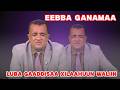 Eebba Ganamaa Luba Gaaddisaa Xilaahuun Waliin 782 
