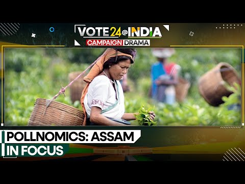 India General Election 2024: Assam is the gateway to the North Eastern belt of India | WION News