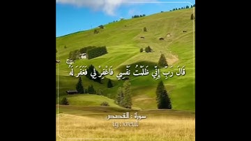 Quran Kareem story 🌸WhatsApp  أجمل قرائه قرآن كريم حالات واتس 🍃 《 سوره القصص 》