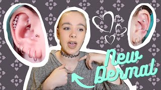 💎UPDATE ON MY 19 PIERCINGS💎 New Dermal! Why I have less jewellery in? || Tattoo Apprentice