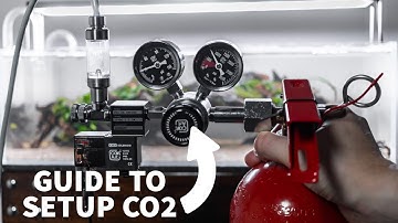 HOW TO set up a CO2 kit