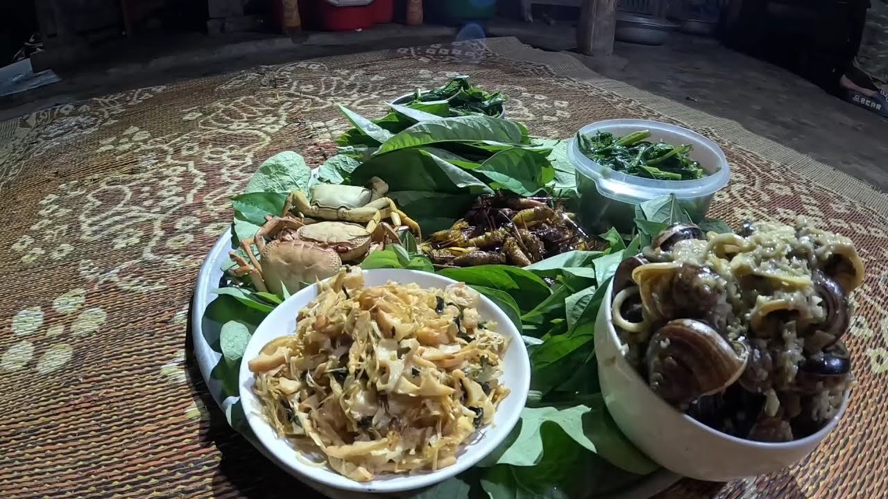 #833. Lên núi trong đêm kiếm thức ăn hoang dã, phiêu lưu trong rừng