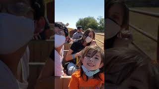 Marana pumpkin patch