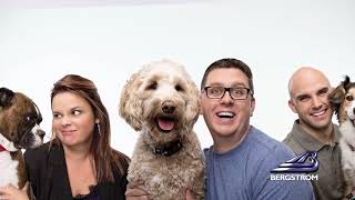Bergstrom Automotive | Real People Driven to Deliver Great Service