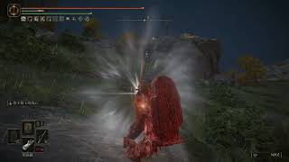 Elden Ring shield poke counter