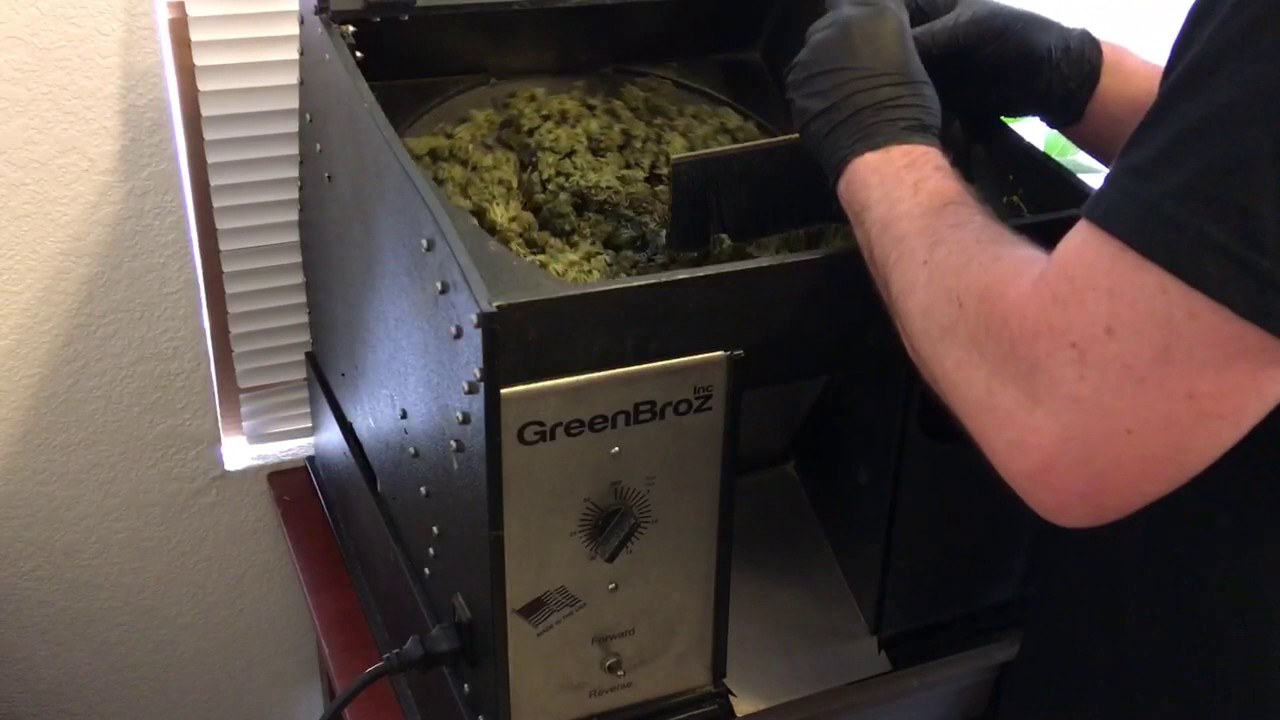 Trimming with a GreenBroz Dry Trimmer