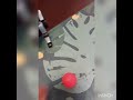 Jumpy the Aibo