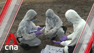 Singapore and Brunei hone response to terror blasts