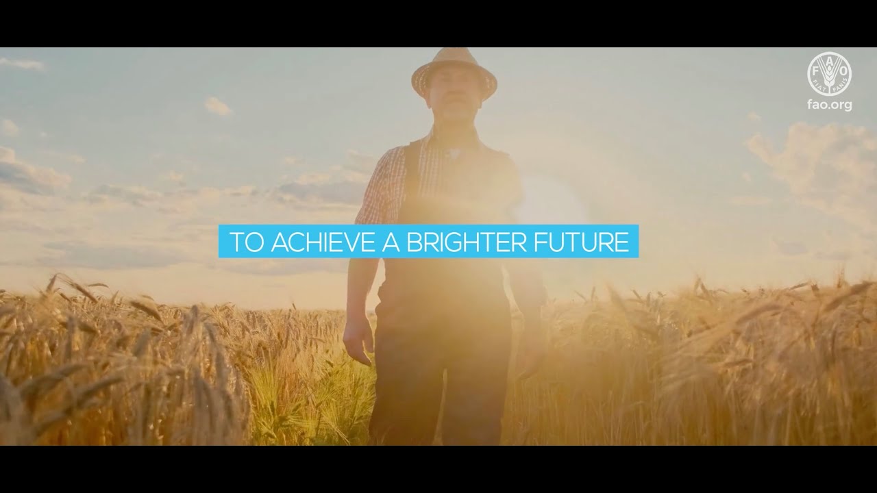 All we know on access to healthy diets