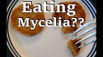 What does mycelium do for the body?